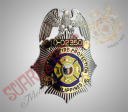 badges - bureau of fire protection